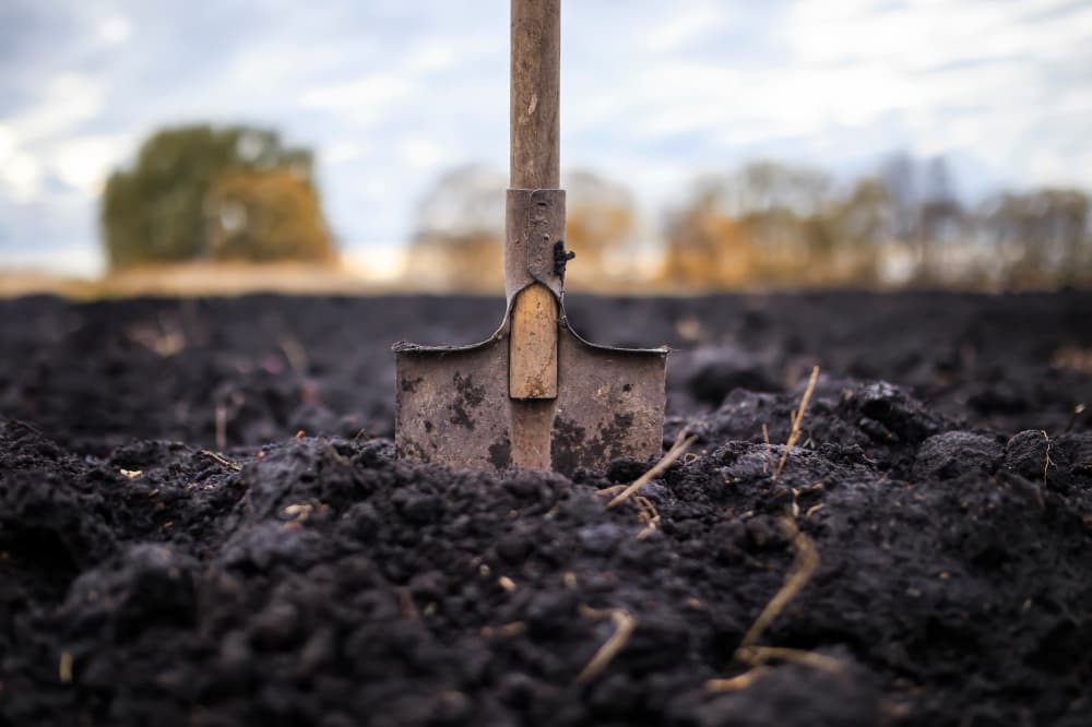 a spade sticking out of soil in a large field