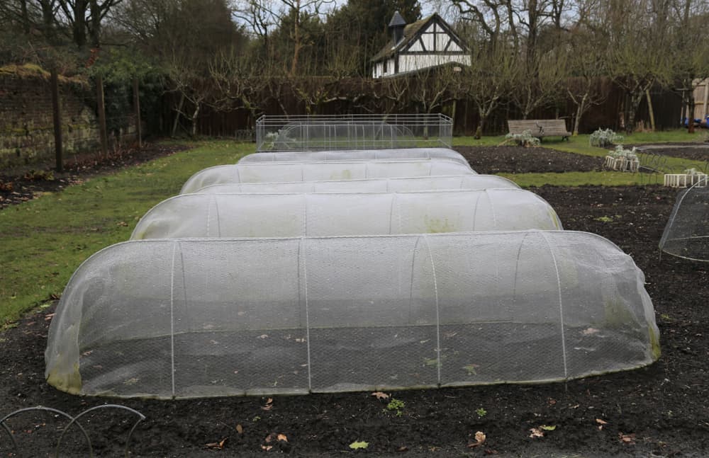 mini polytunnels set up during winter in a large garden