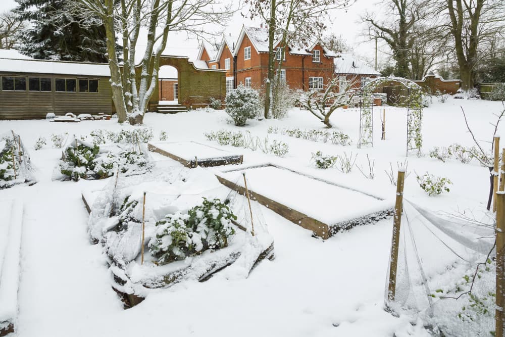huge vegetable garden covered in snow