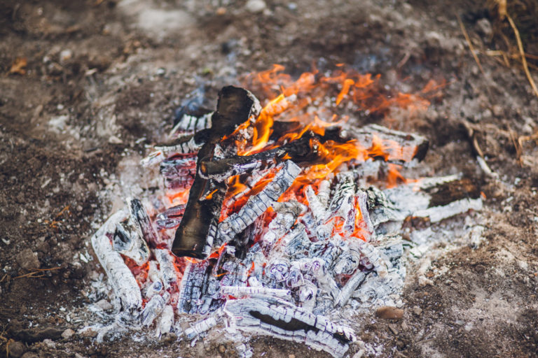 9 Uses For Ashes In The Garden Horticulture.co.uk