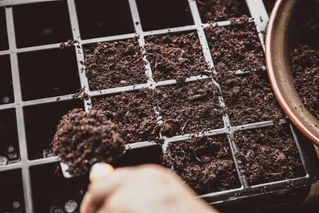 a compost medium being placed into a seed tray by someone who is using a trowel