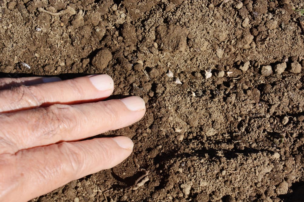 hand pushing soil over freshly sown seeds