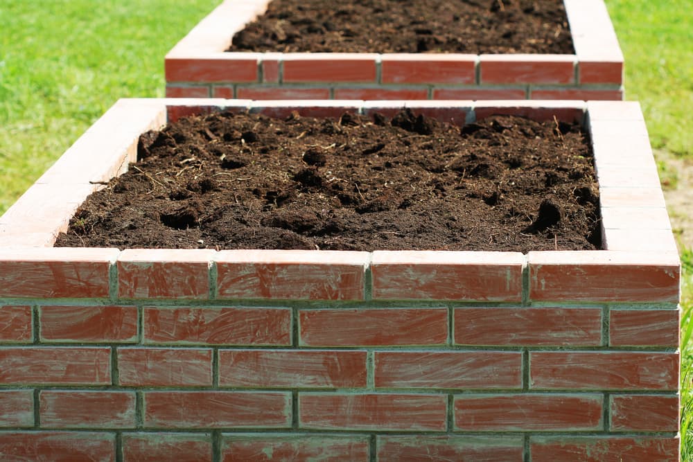 square raised beds built from bricks with fresh compost