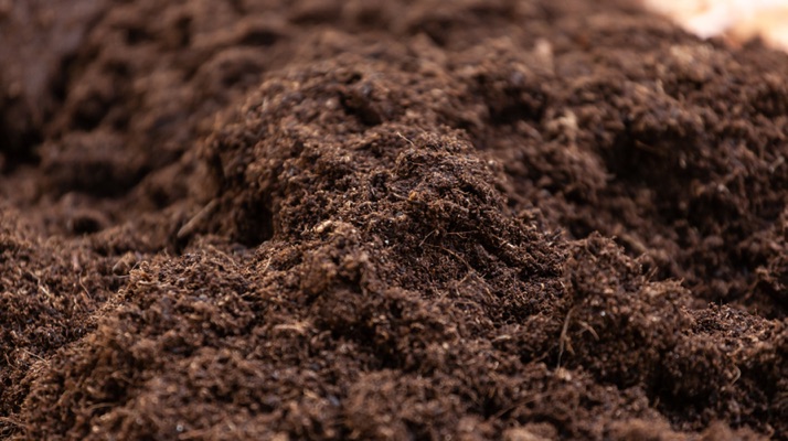 a pile of humus-rich soil that has gone through decomposition