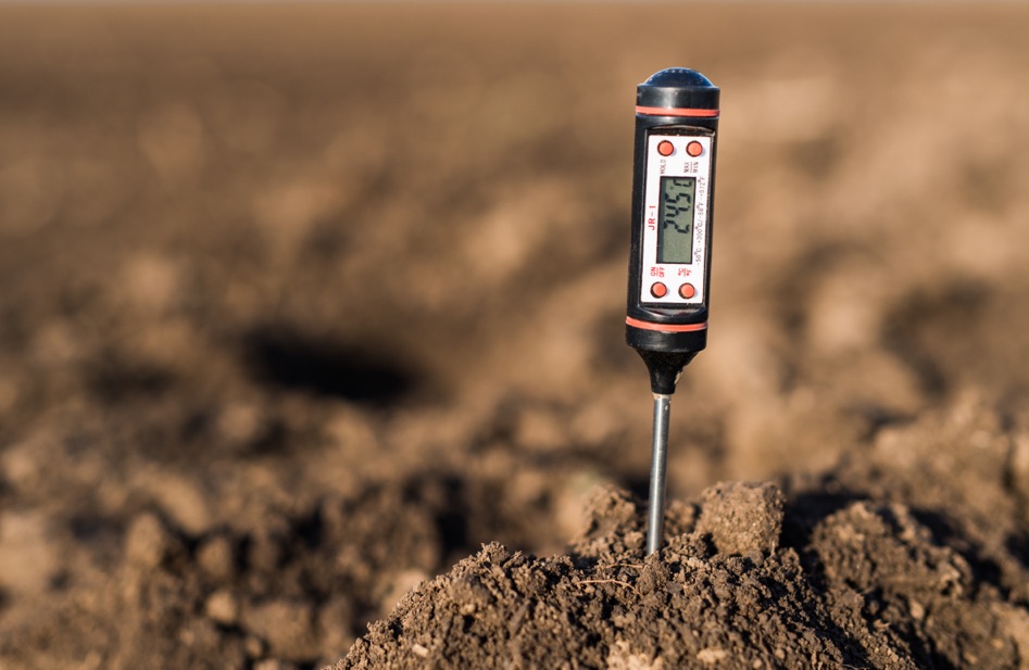 a pH testing stick that has been stuck in a mound of soil