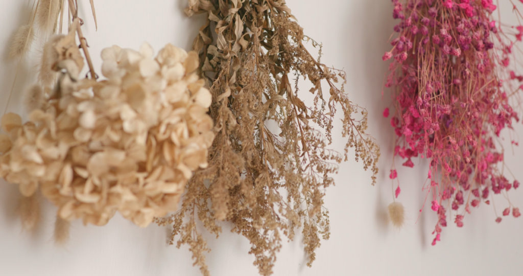 white hydrangeas and other brown and pink dried flowers hung upside down against a white wall for air drying