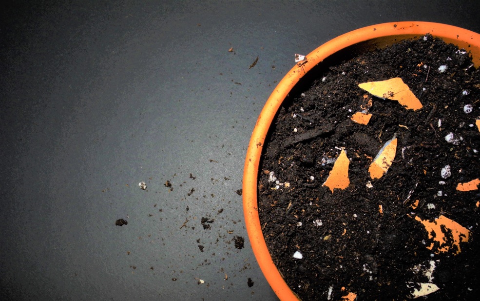 a plant pot filled with soil with bits of eggshell in the mixture against a grey surface