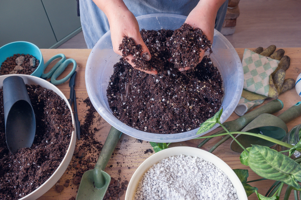 someone making a compost mix with soil and grit in a bowl on top of a work surface, surrounded by gardening tools and gloves