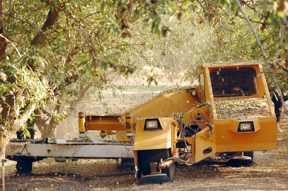 a large machine being used to harvest almonds from the trees