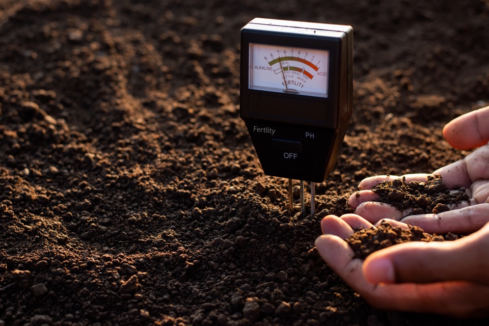 hands holding some soil up next to a pH tester protruding from the soil