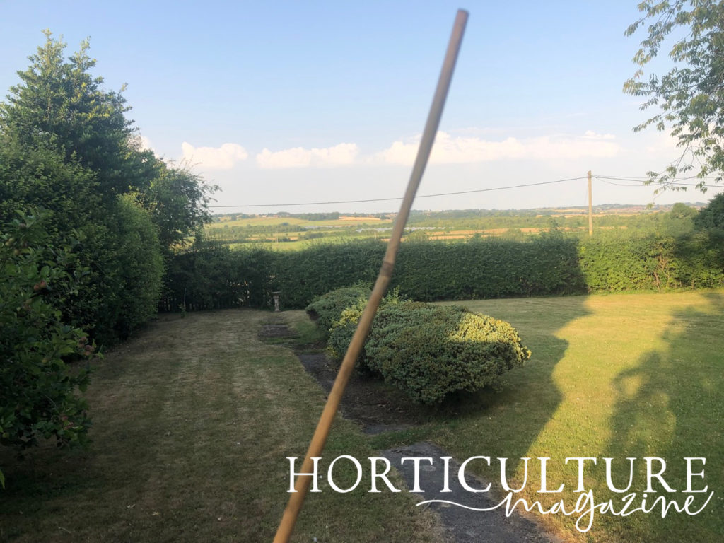 a bamboo stick being held in front of a garden with various shrubs on a sunny day