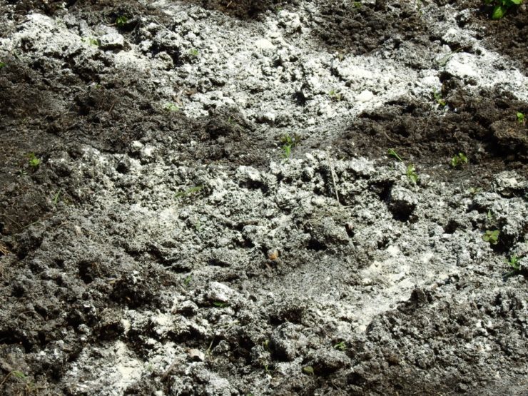 How (And When) To Use Lime For Acidic Soil Horticulture.co.uk