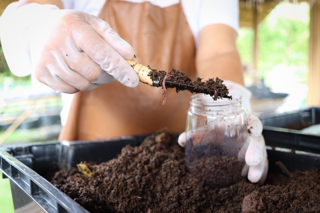 someone wearing gloves and an orange apron shovelling compost with worms in into a clear jar with a trowel