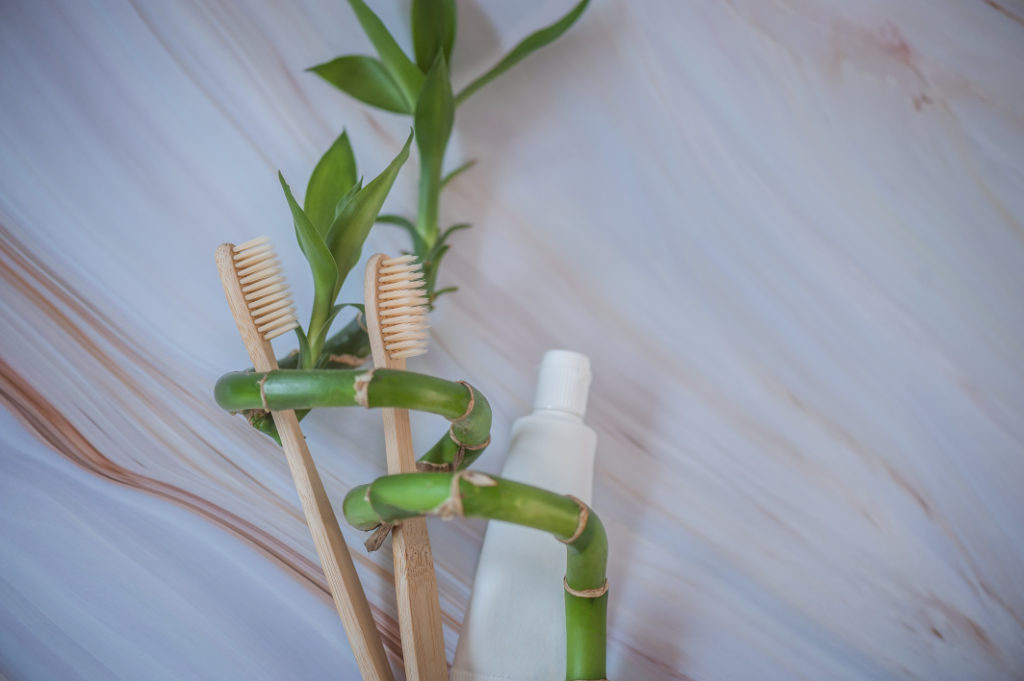 lucky bathroom stem that is growing around two bamboo toothbrushes and some toothpaste on a wooden wall