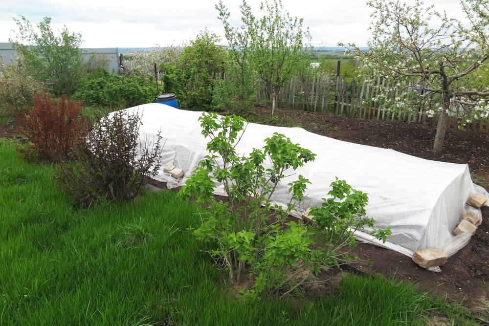 a small polytunnel greenhouse being used for growing in winter