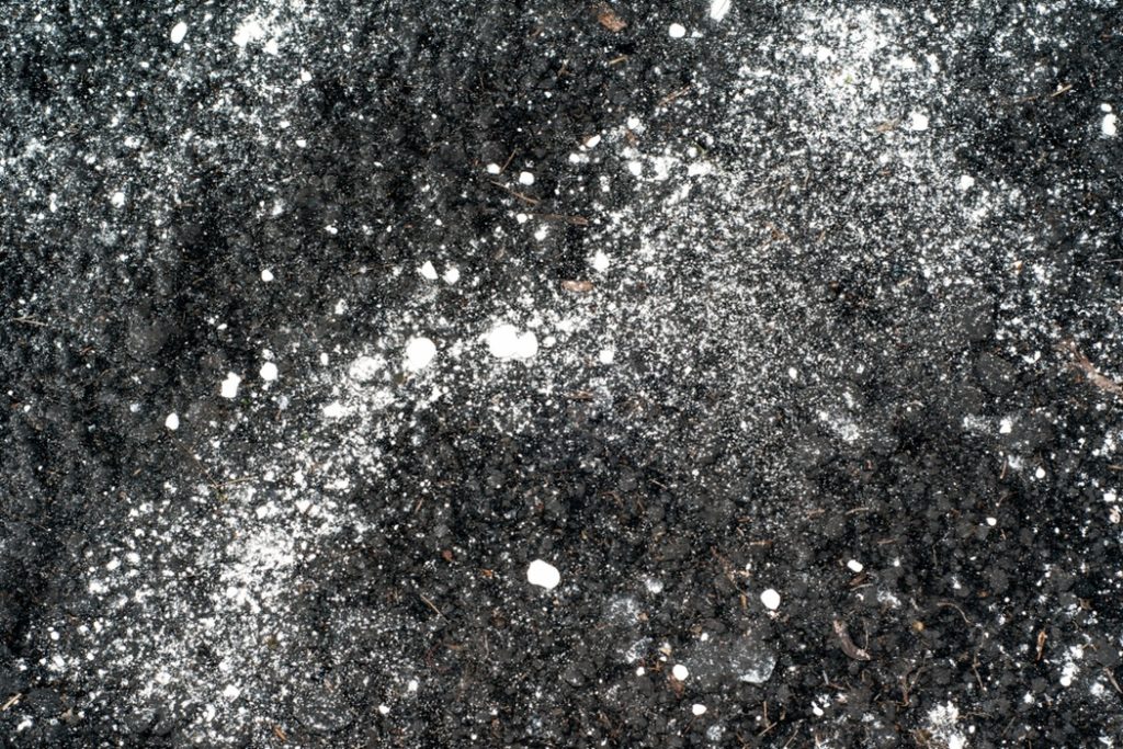 soil that has been lightly covered in lime powder