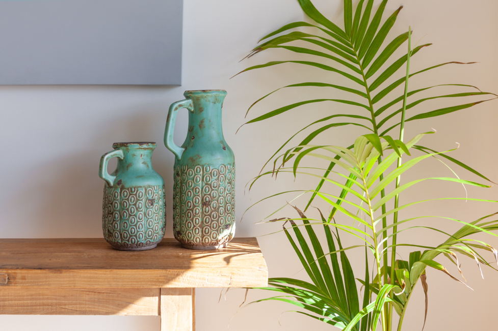 a majesty palm plant with long thin tall leaves growing next to some pots on a shelf in front of a white wall