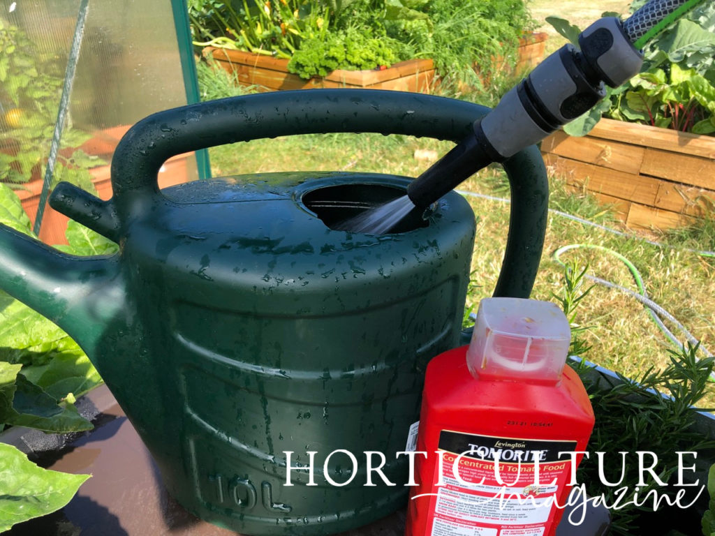 a hose filling a green watering can up with water with flower beds full of greenery in the background and a red bottle of organic liquid feed in front of it