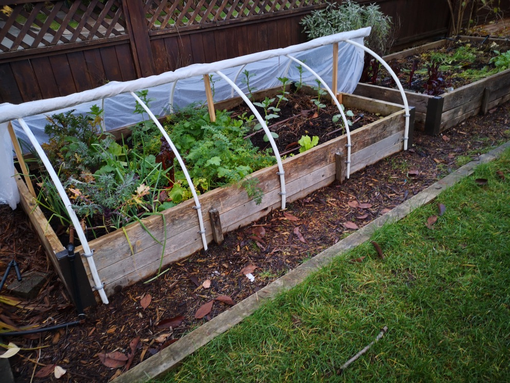 a polytunnel that has been pulled back to reveal various plants growing in pots inside