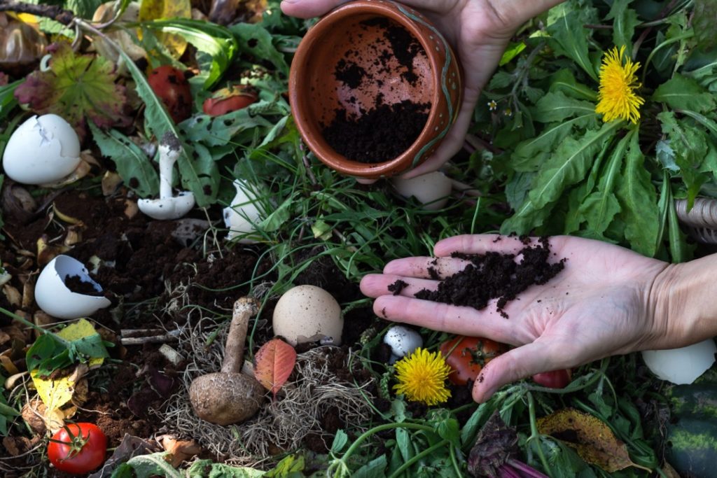 a hand holding some soil and another hand holding a pot half full of soil in front of a background of weeds and compost