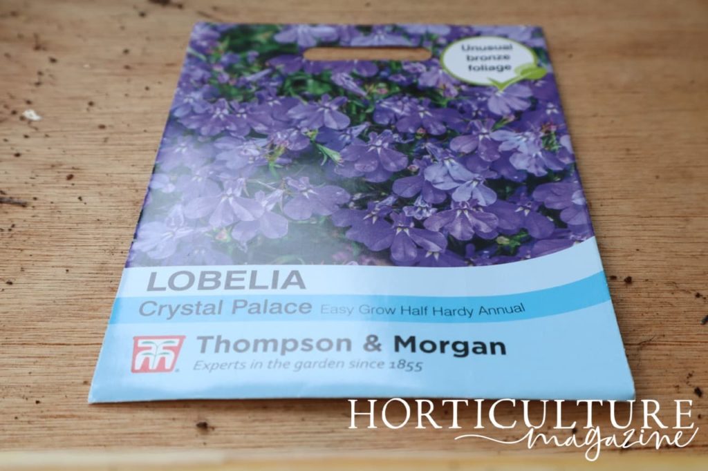 a packet of 'Crystal Palace' half hardy lobelia seeds shown on the surface of a potting bench