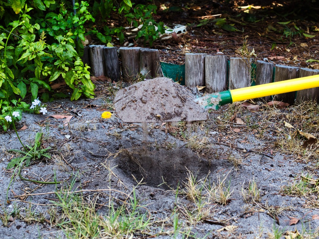 a shovel being used to dig a hole in a garden bed with shrubs in the background