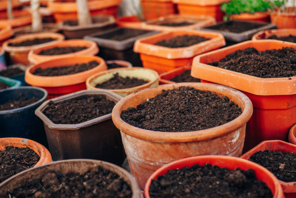 various shapes and sizes of terracotta garden pots filled with potting soil