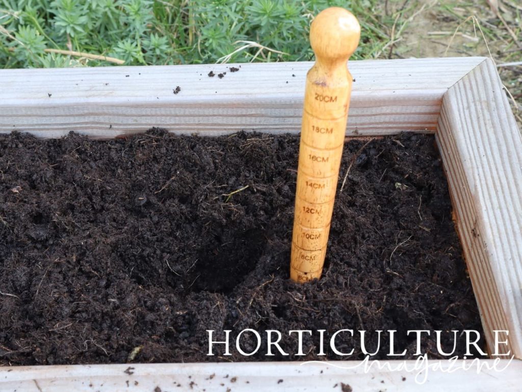 a garden planter with hole dug to the depth of 6cm