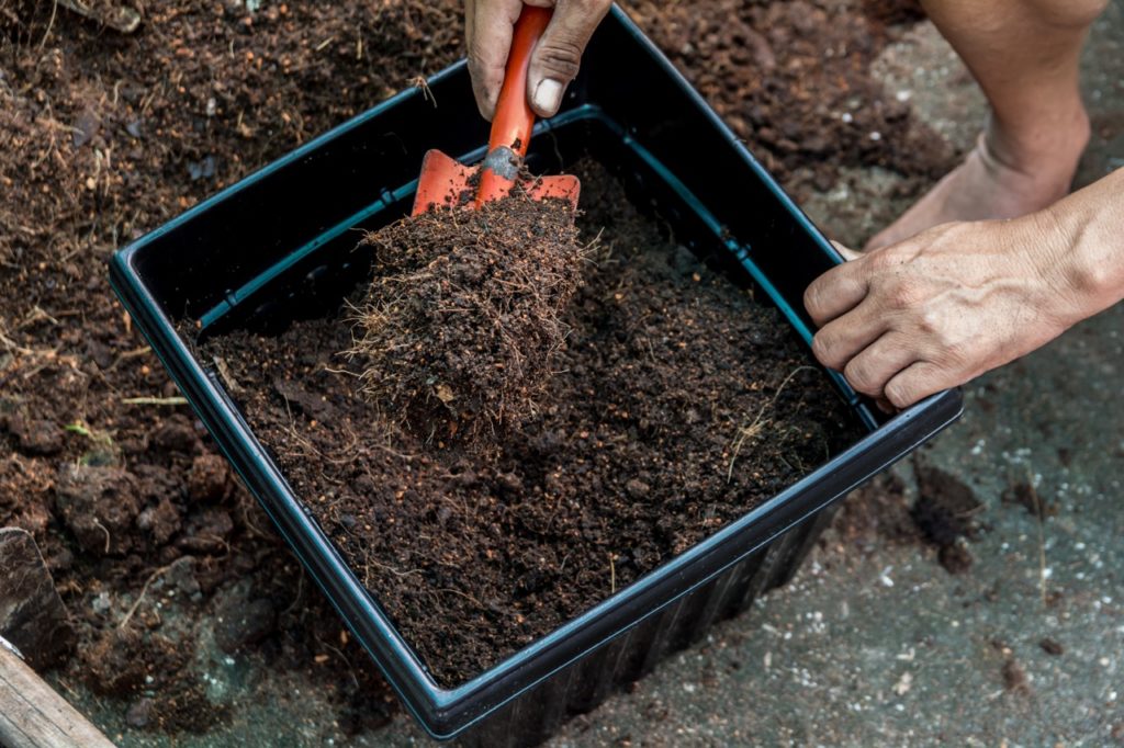 gardener using a red trowel to place soil into a large square black container outside