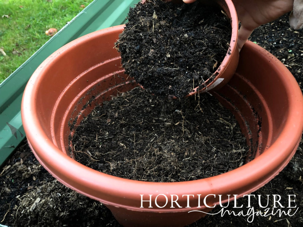 a pot full of compost being used to scatter soil into a larger pot that is resting in a garden bed outside