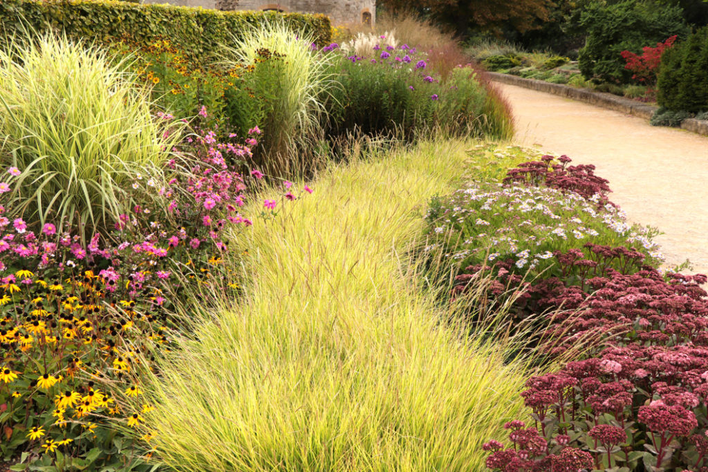 several different ornamental grasses growing outside in a flower bed next to a path amongst pink and yellow flowering plants
