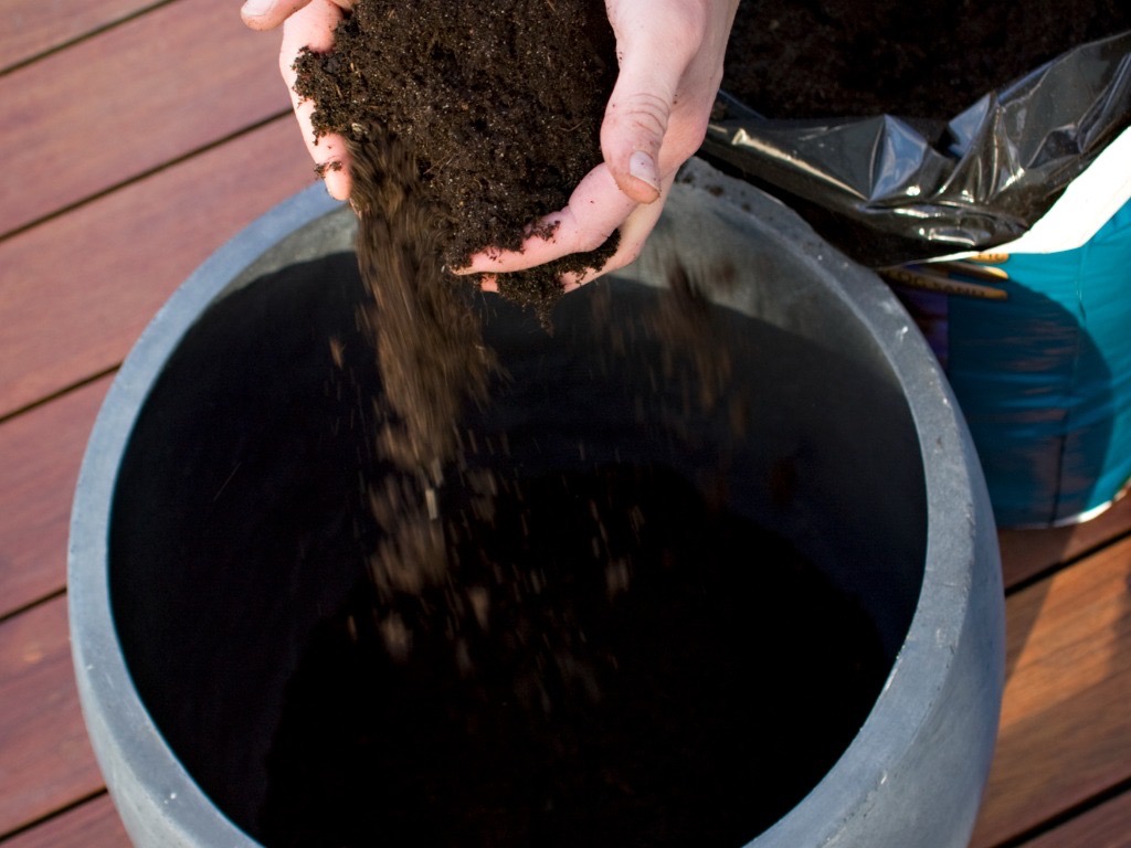 someone placing compost from a big bag into a large black container outside