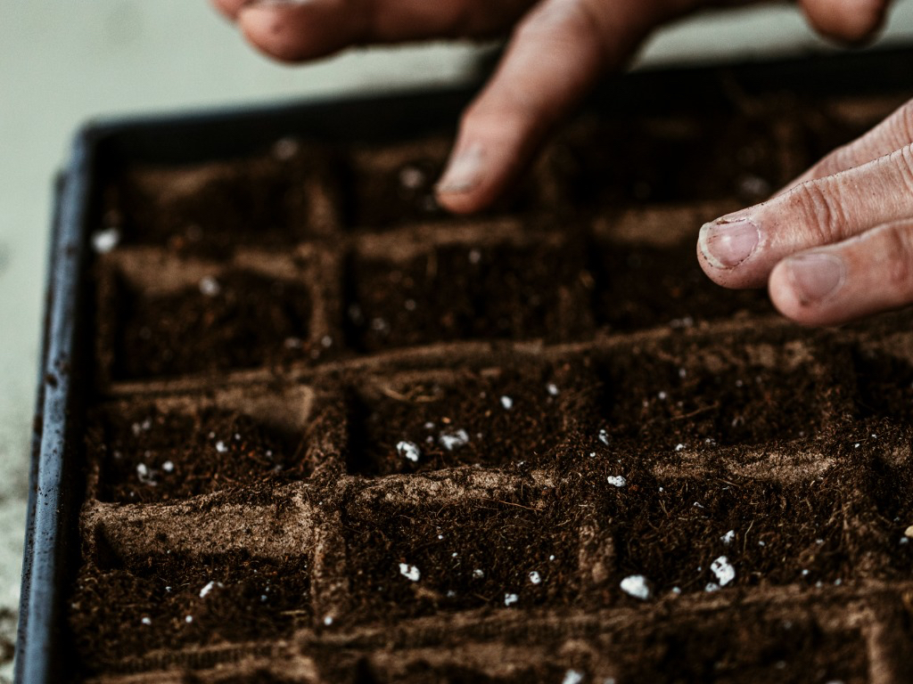 someone poking holes into potting soil in a seed tray 