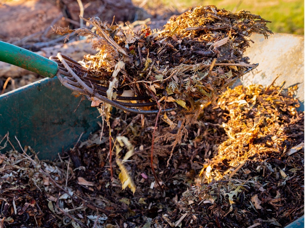 a garden fork lifting some organic mulch out of the ground outside
