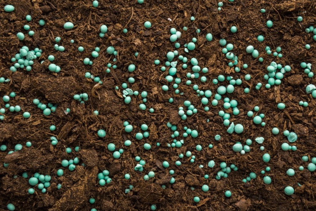 round blue fertiliser pellets scattered across soil 