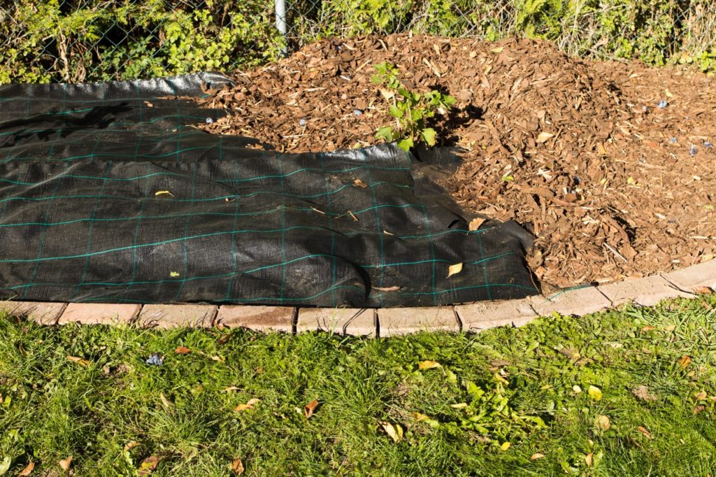 horticultural fleece being used to cover a garden bed to protect plants from cold weather