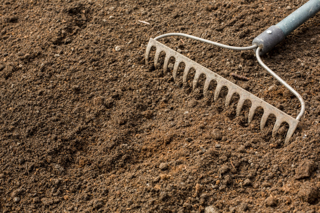 rake resting on some freshly raked soil
