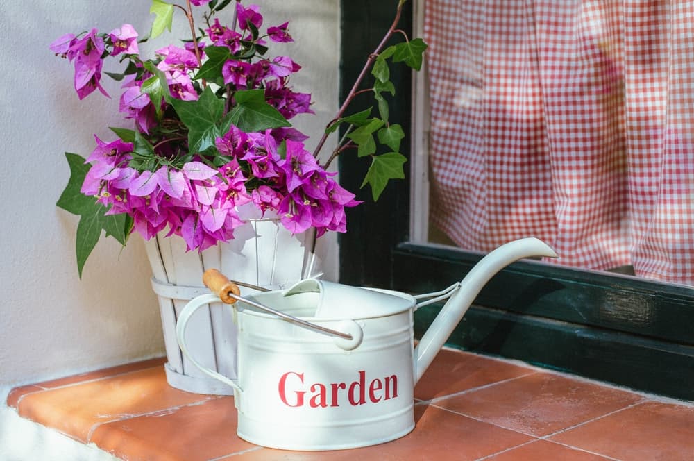 watering can shown next to a potted windowsill plant