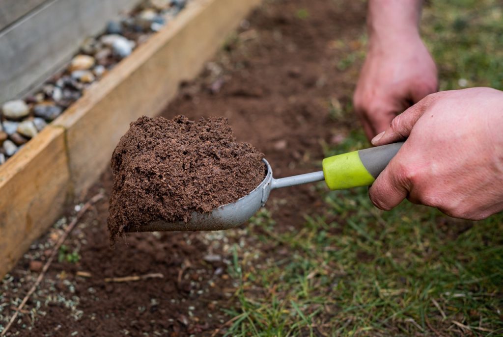 soil in a trowel being scattered over a patch of grass that has been treated with blue fertiliser pellets 