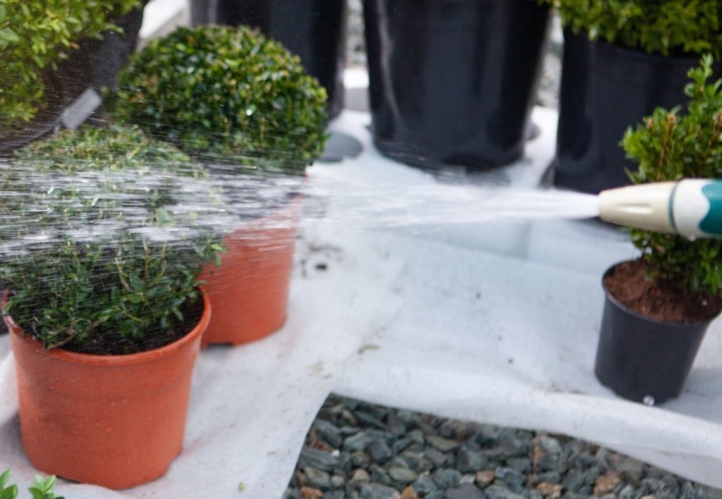 a hose being used to spray water on potted plants