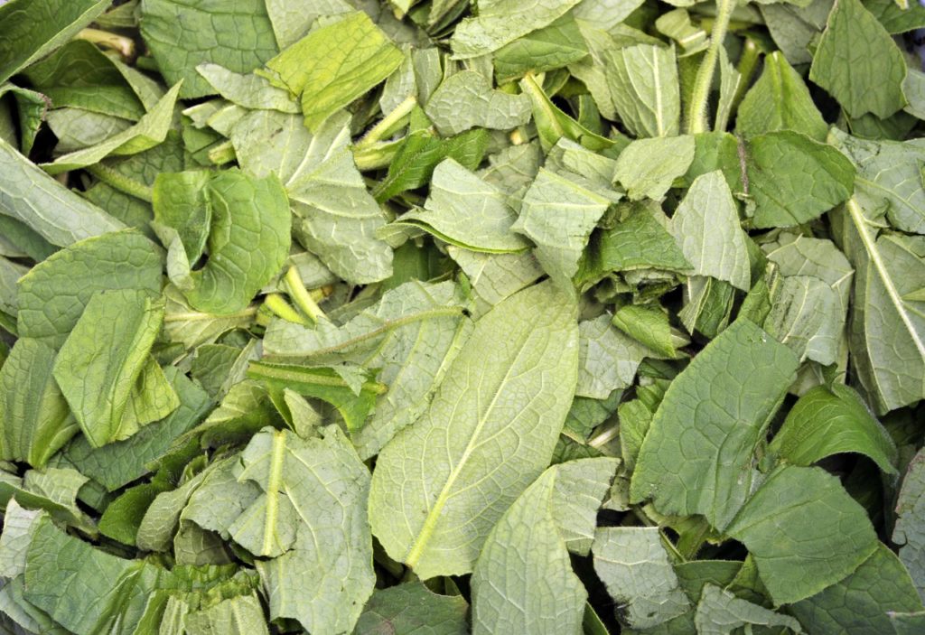 chopped up comfrey leaves