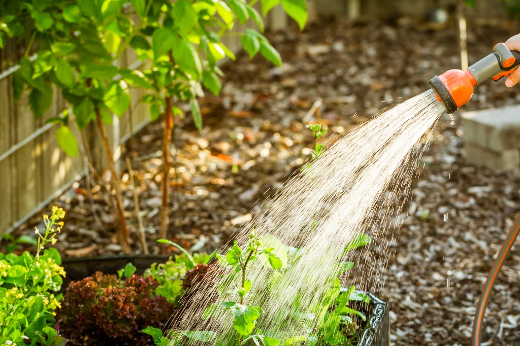 garden hose being used to water plants in a raised flower bed in front of a fence