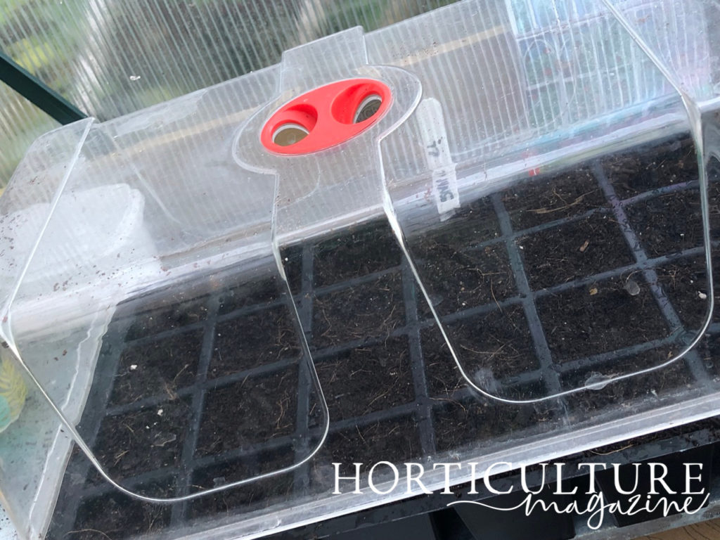 a plastic clear propagator lid covering a seed tray full of seeds