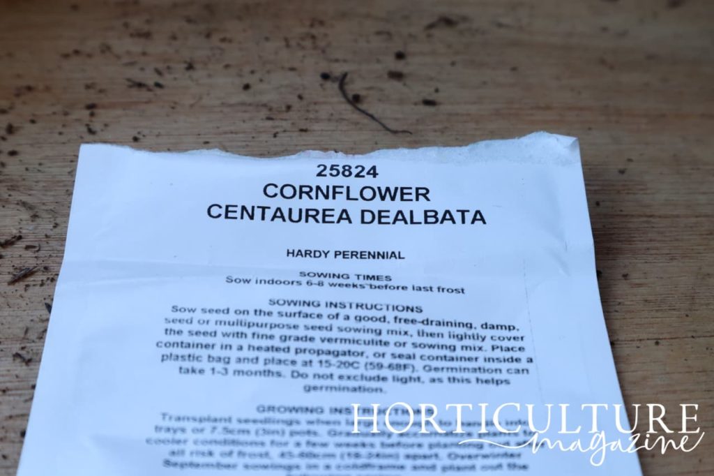 an opened packet of cornflower centaurea dealbata seeds