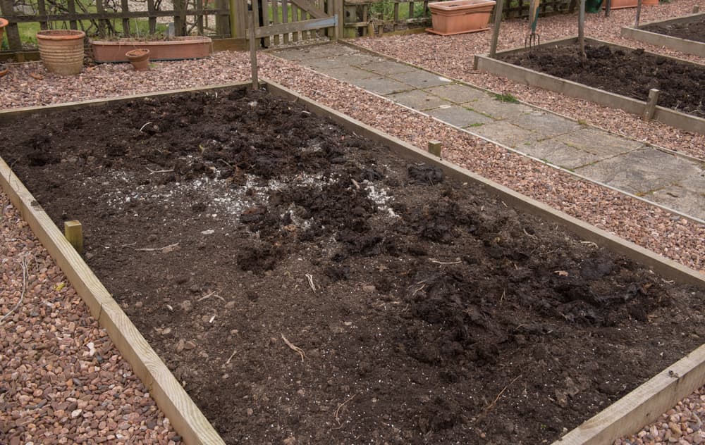 a raised garden bed with freshly prepared soil ready for sowing