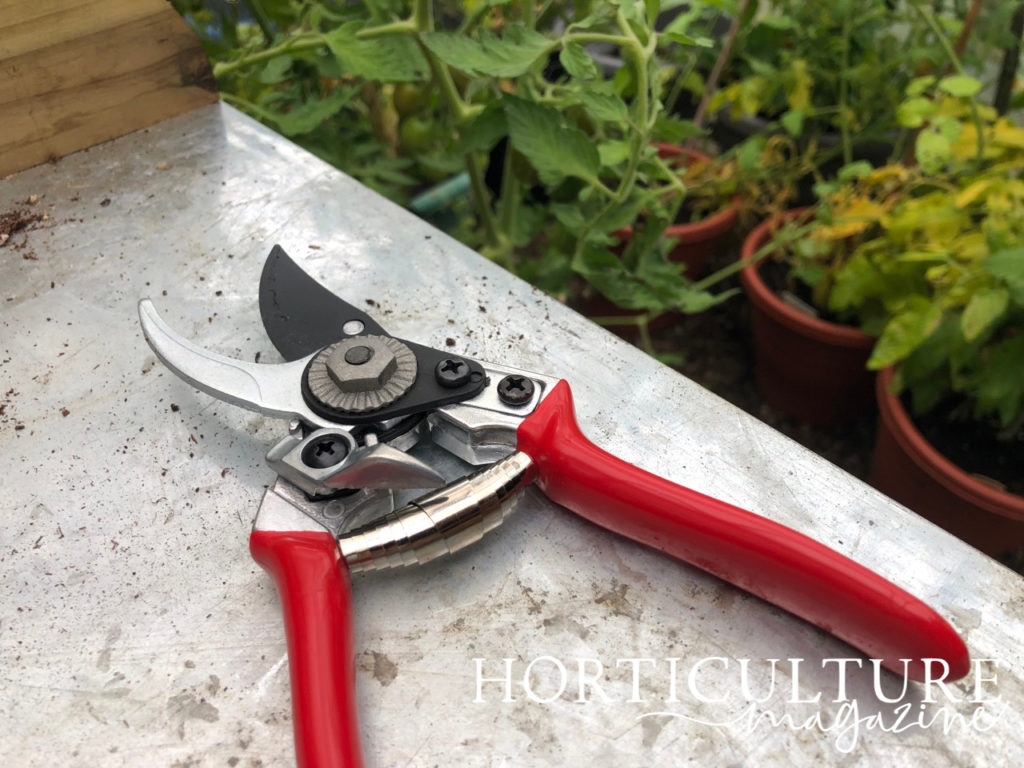 a pair of secateurs lying on a metal work surface outside in front of lots of potted garden plants