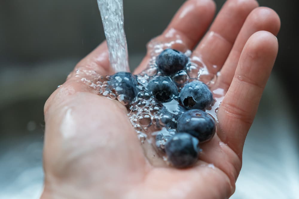 large round blueberries being watered under a tap