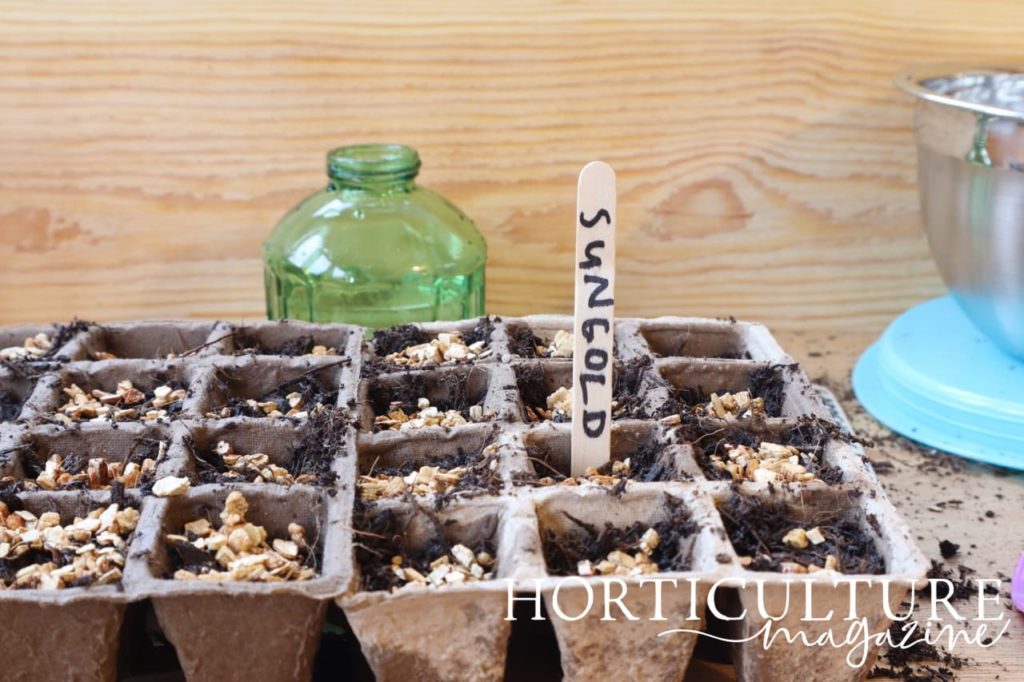 compostable seed tray with modules labelled 'Sungold'