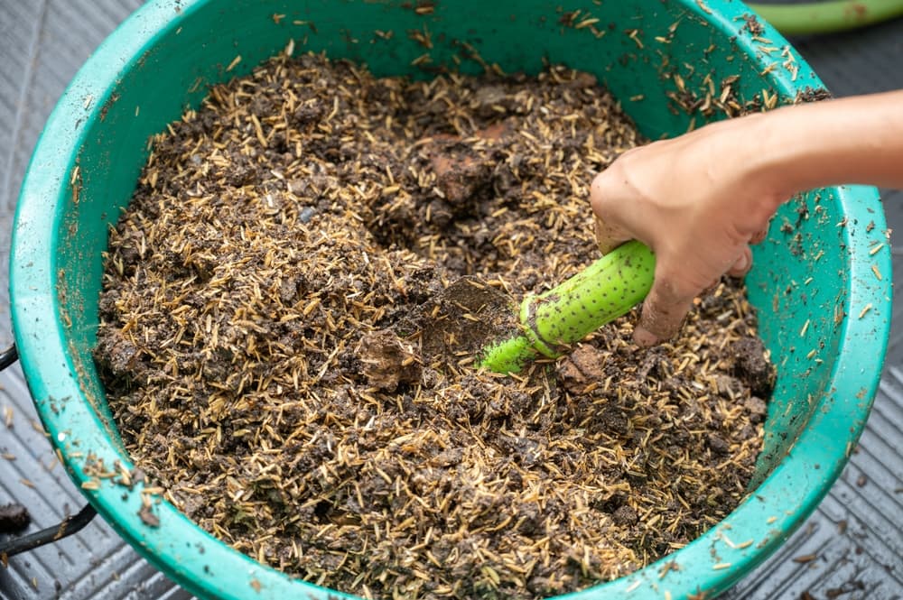 hand shown shovelling a bowl of rose fertiliser mix with a handheld garden trowel