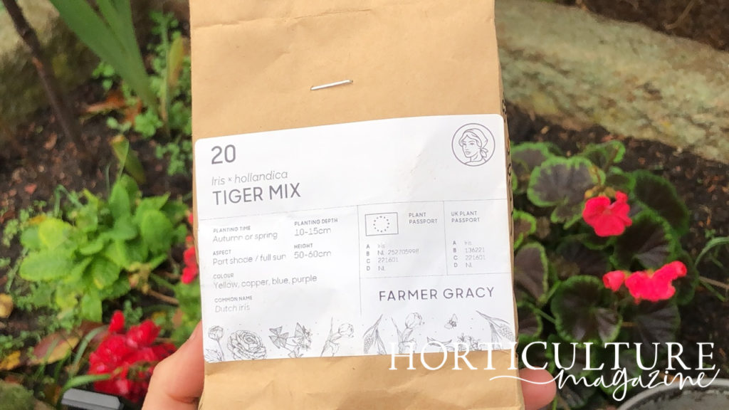a brown paper bag that is labelled iris x hollandica and contains bulbs ready for planting